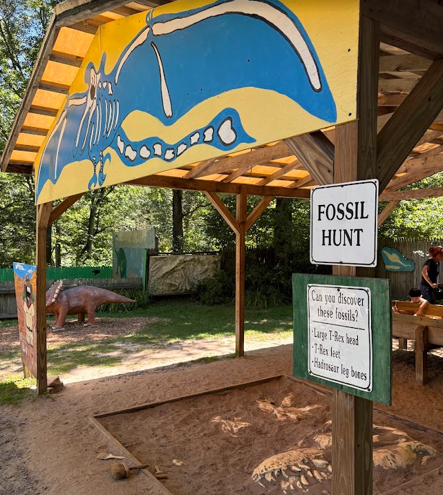 Toddler exploring the dinosaur fossil digging area at Claws N Paws Wild Animal Park