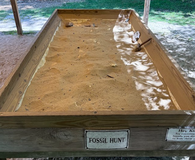 Toddler exploring the dinosaur fossil digging area at Claws N Paws Wild Animal Park