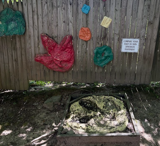 Toddler exploring the dinosaur fossil digging area at Claws N Paws Wild Animal Park