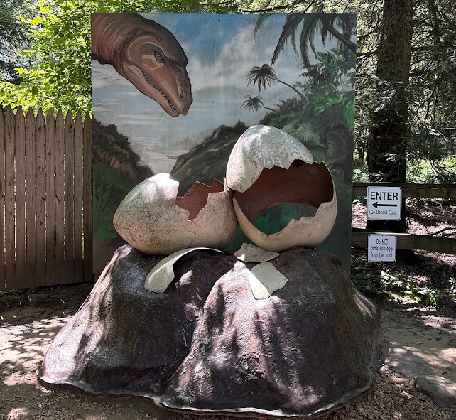 Toddler exploring the dinosaur fossil digging area at Claws N Paws Wild Animal Park