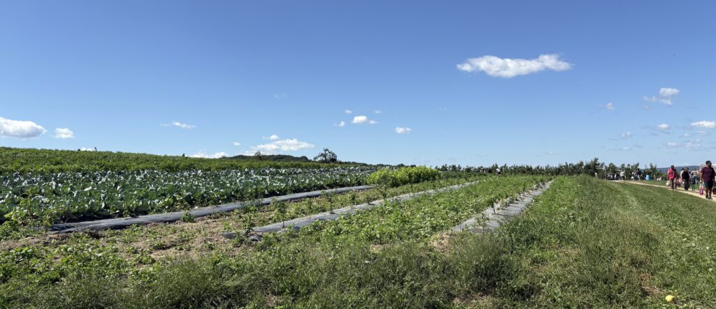 Ochs Orchard apple picking farm and Pick Your Own fields