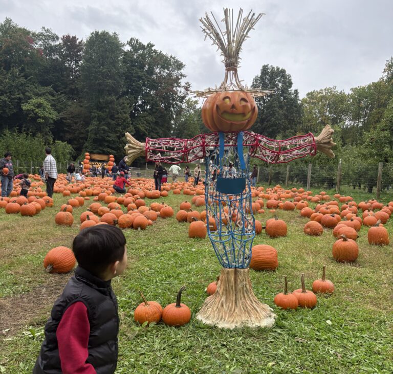Demarest Farms Pumpkin Patch Review: A Fall Day with My Toddler 🎃