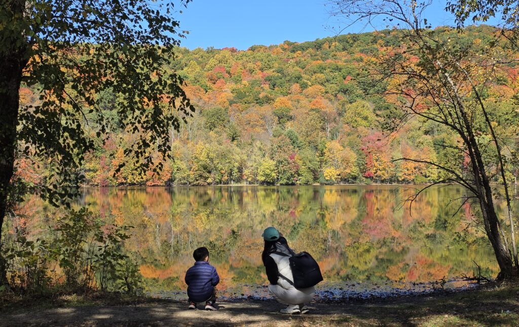 Fall foliage reflecting on the lake at Ramapo Valley County Reservation in New Jersey